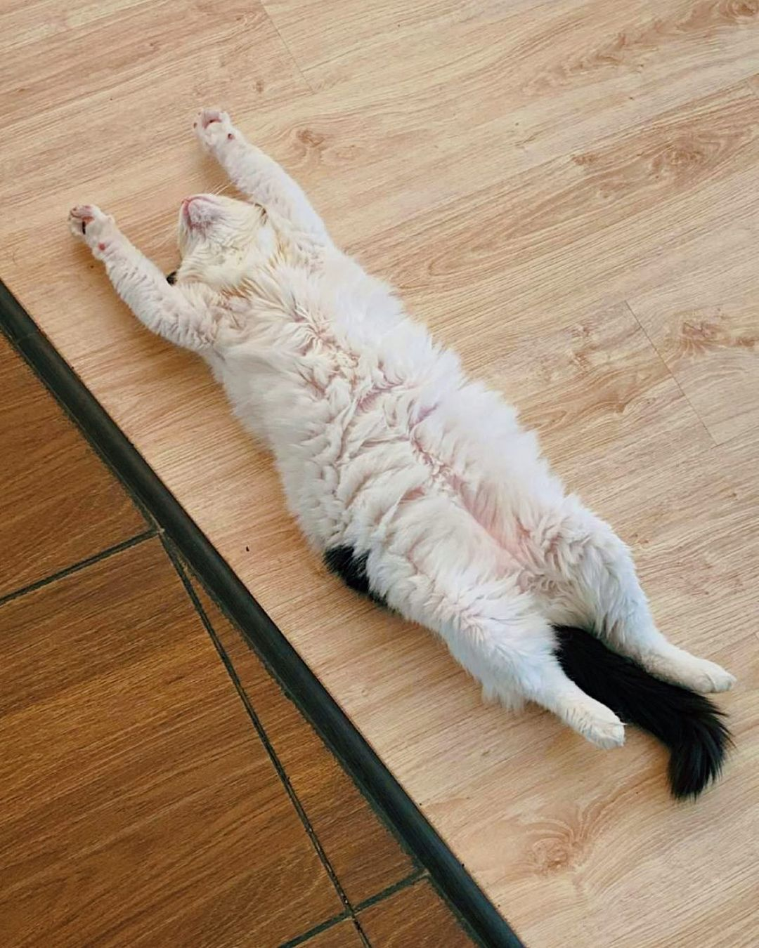 Actual photo of me